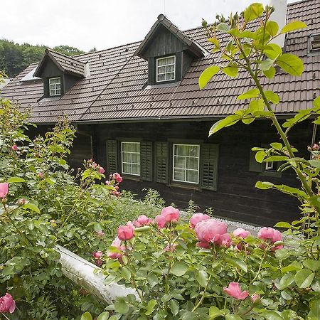 Das Altsteirische Landhaus - La Maison De Pronegg - Feriendomizil Im Biosphaerenpark Wienerwald Pressbaum 客房 照片